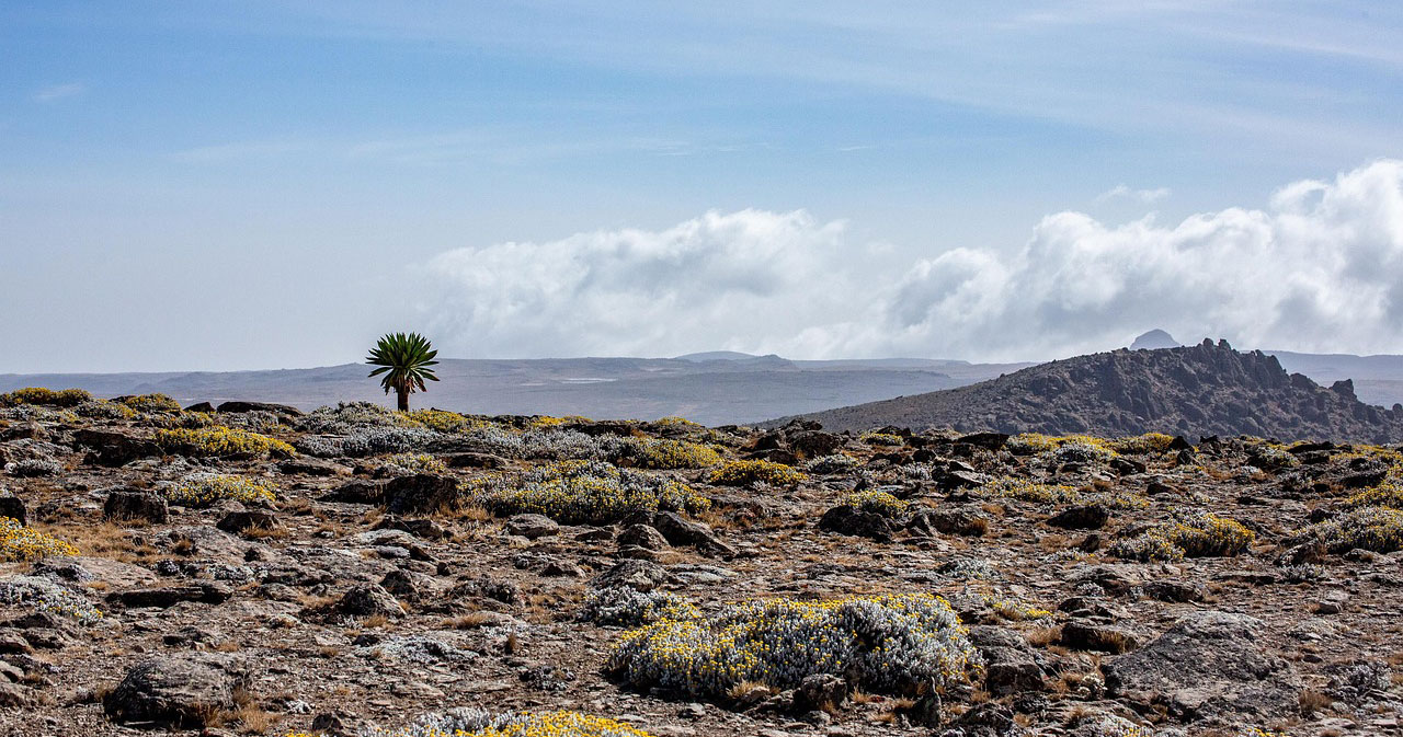 Ethiopia